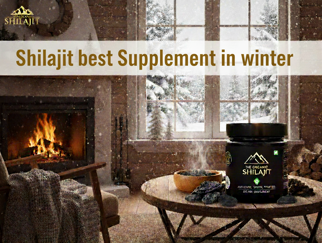 Shilajit Is The Best Supplement In Winter