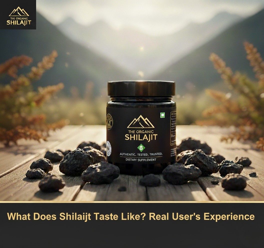 What Does Shilijit Taste Like? A Real User’s Experience