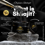 Load image into Gallery viewer, Shilajit Resin – 30g (60 Servings)