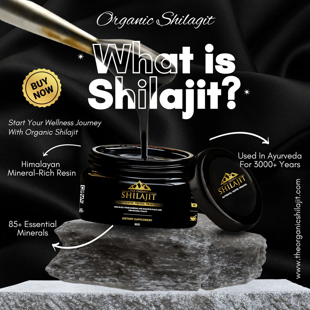 Shilajit Resin – 30g (60 Servings)