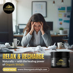 Load image into Gallery viewer, Shilajit Resin – 20g (40 Servings)