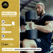 Shilajit Resin – 30g (60 Servings)