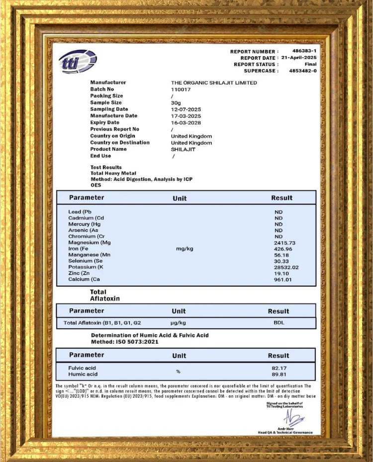 Shilajit Resin – 500g (1000 Servings)