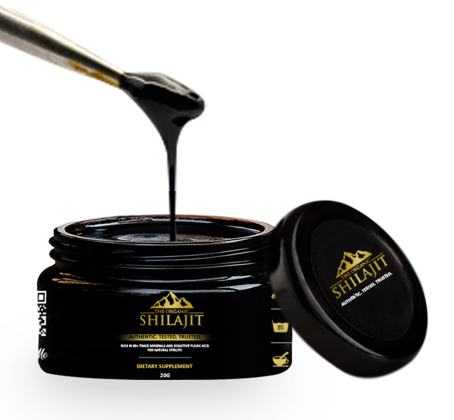 Shilajit Resin – 20g (40 Servings)